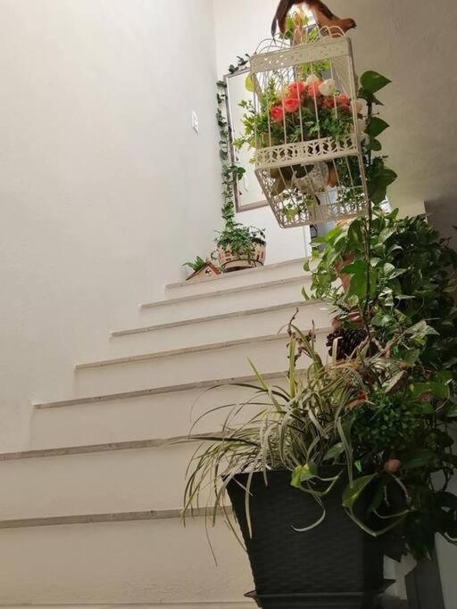 Casa Adhita, Tu Confort Es Nuestra Prioridad. Yautepec de Zaragoza Exterior foto